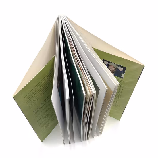 Color Hard Cover Perfect Binding Children′ S Books with Sunglasses