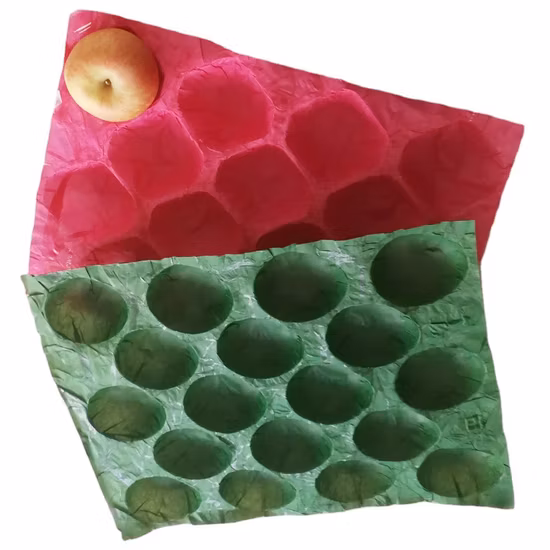 Fabricant de barquette d'emballage de protection en papier biodégradable pour plateau de fruits